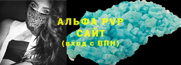 спиды Ельня