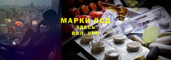 дмт Елабуга