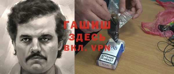 спиды Ельня