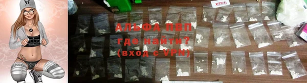 спиды Ельня