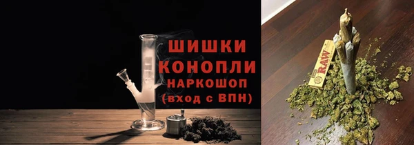спиды Ельня