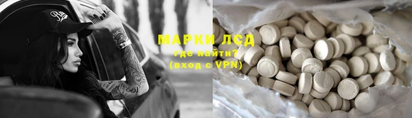 спиды Ельня