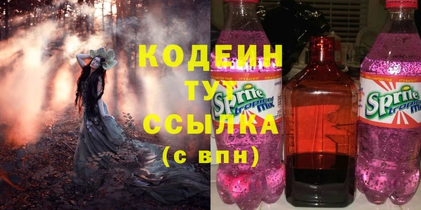 дмт Елабуга