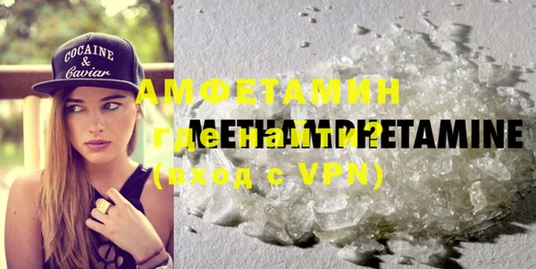 спиды Ельня