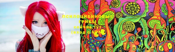 mdma Елизово