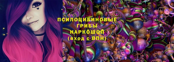 спиды Ельня