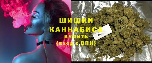 спиды Ельня