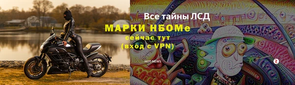 спиды Ельня