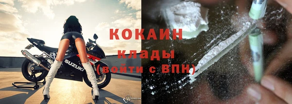 спиды Ельня